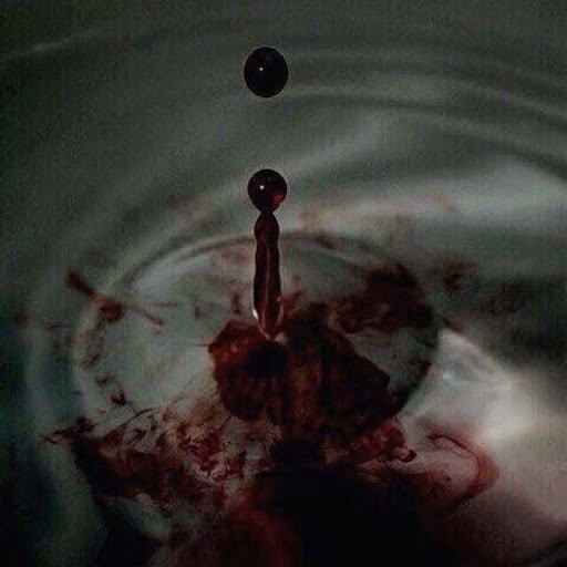 55